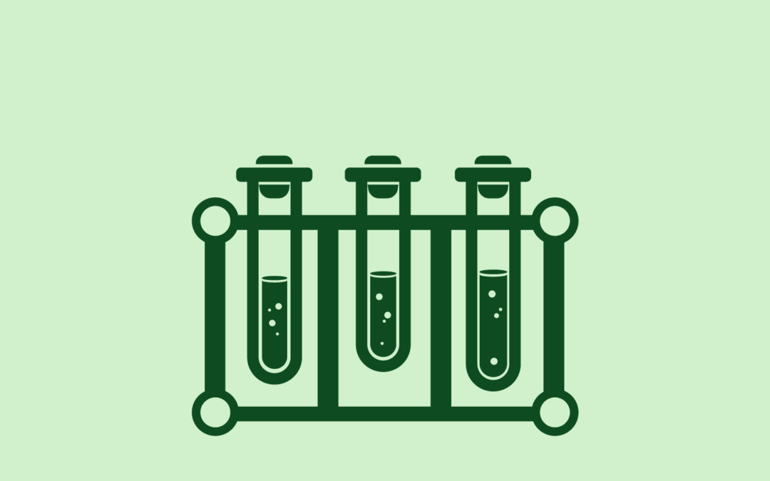 Comprendre et utiliser Polylang