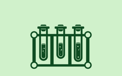 Comprendre et utiliser Polylang